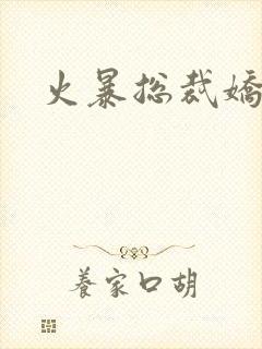 火暴总裁娇柔妻