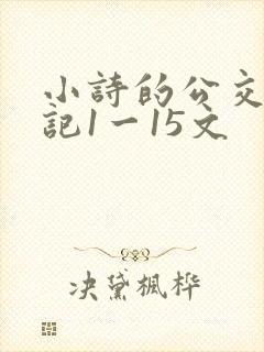 小诗的公交车日记1一15文