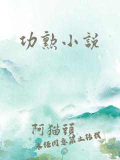 功勋小说