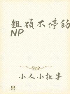 粗硕不停的进出NP