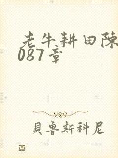 老牛耕田陈雪1087章