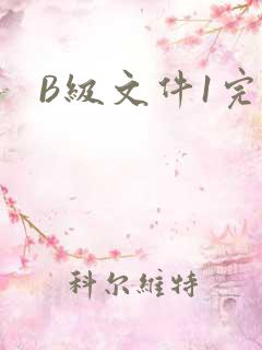 B级文件1完整