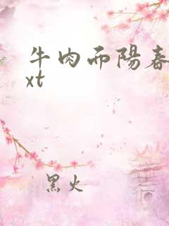 牛肉面阳春面txt