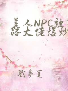 美人NPC被各路大佬爆炒小说
