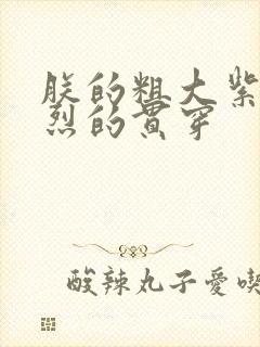 朕的粗大紫红猛烈的贯穿