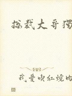 总裁大哥独宠妻