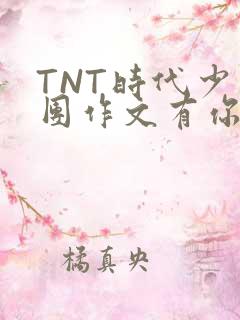 TNT时代少年团作文有你真好
