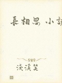 长相思 小说