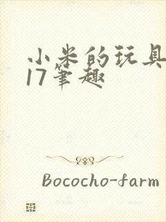 小米的玩具日记17笔趣