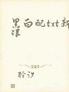 黑白配txt新浪