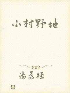 小村野地