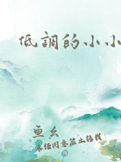 低调的小小宫女