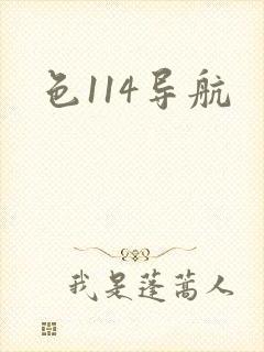 色114导航