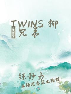 TWINS 柳澤兄弟