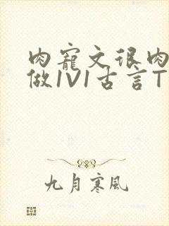 肉宠文很肉到处做1V1古言T