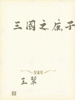 三国之庶子称雄