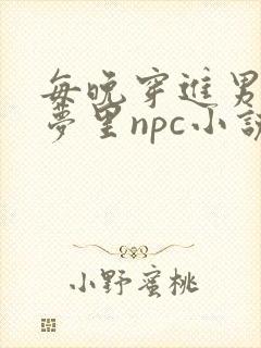 每晚穿进男神的梦里npc小说