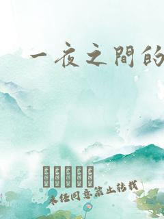 一夜之间的天才