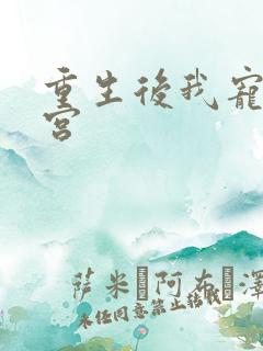 重生后我宠冠东宫