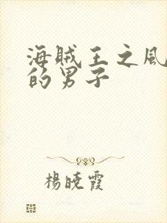 海贼王之风一样的男子