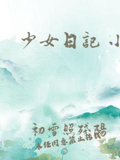 少女日记 小说