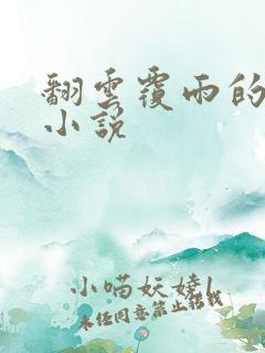 翻云覆雨的秘密小说