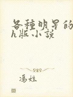 各种明星的综艺h版小说