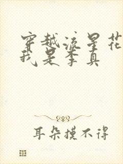 穿越流星花园之我是李真