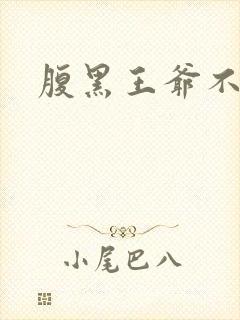 腹黑王爷不良妻