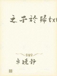 之子于归txt