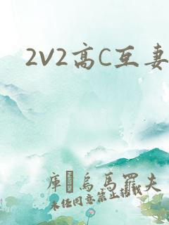 2V2高C互妻