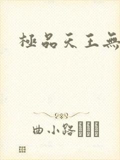 极品天王无弹窗