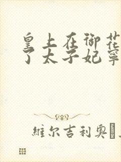 皇上在御花园C了太子妃宁儿