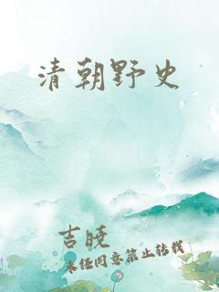 清朝野史