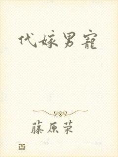 代嫁男宠
