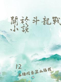 关于斗龙战士的小说