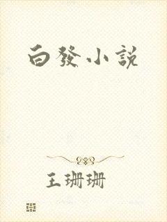 白发小说