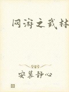 网游之武林新传