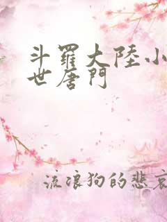 斗罗大陆小说绝世唐门