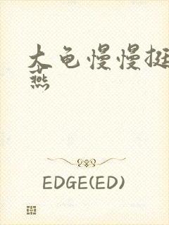 大龟慢慢挺进张燕