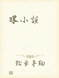 眼小说