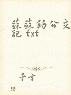 苏苏的公交车日记 txt