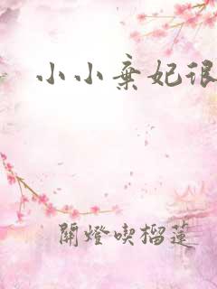 小小弃妃很倾城