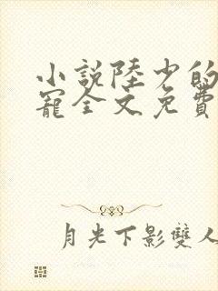 小说陆少的心尖宠全文免费阅读