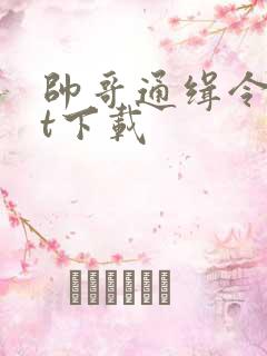 帅哥通缉令txt下载