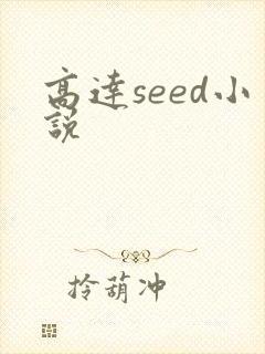 高达seed小说