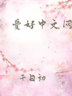 爱好中文网