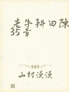 老牛耕田陈雪435章