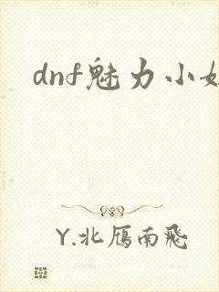 dnf魅力小妞