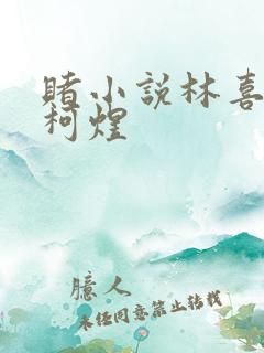 赌小说林喜朝和柯煜